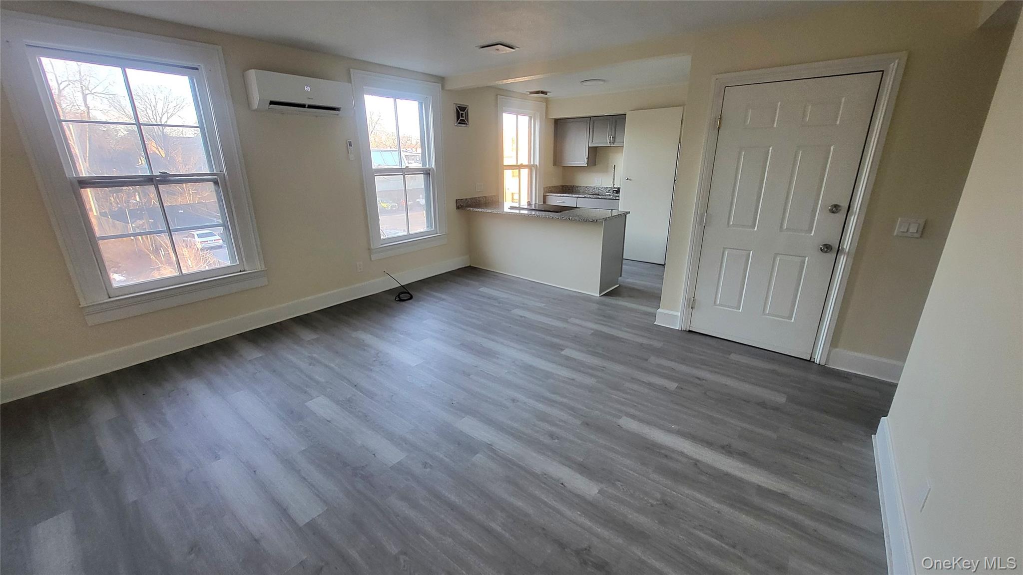 216 Church Street, Unit 2 Poughkeepsie, NY 12601 - Photo 4 of 13 Living room with mini split