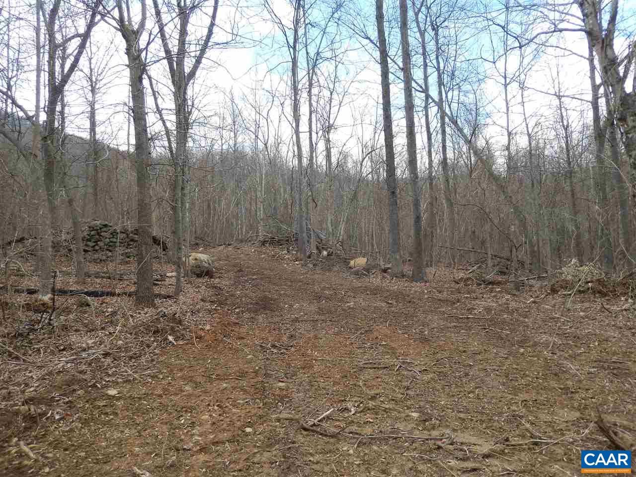 Tbd Garth Run Road Madison, VA 22727 - Photo 3 of 7 Gallery Image 3