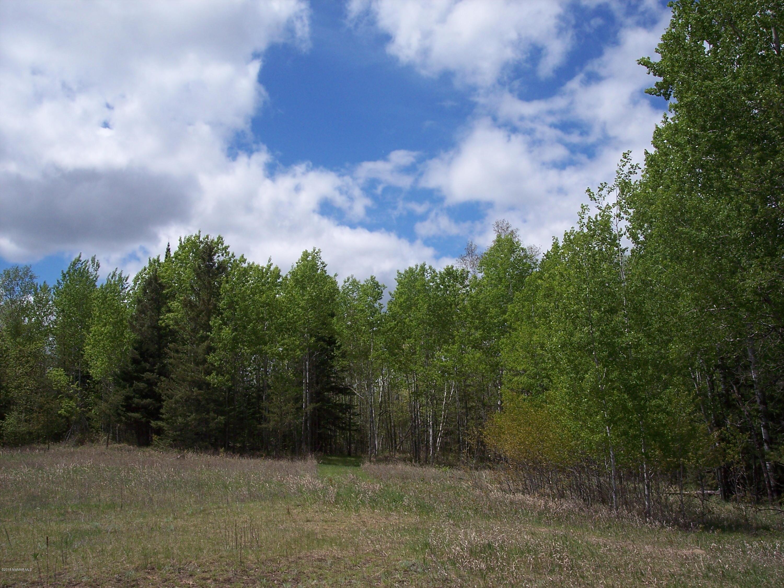Tbd Southwest Bootleg Lake Road Southwest Bemidji, MN 56601 - Photo 1 of 1 Gallery Image 1