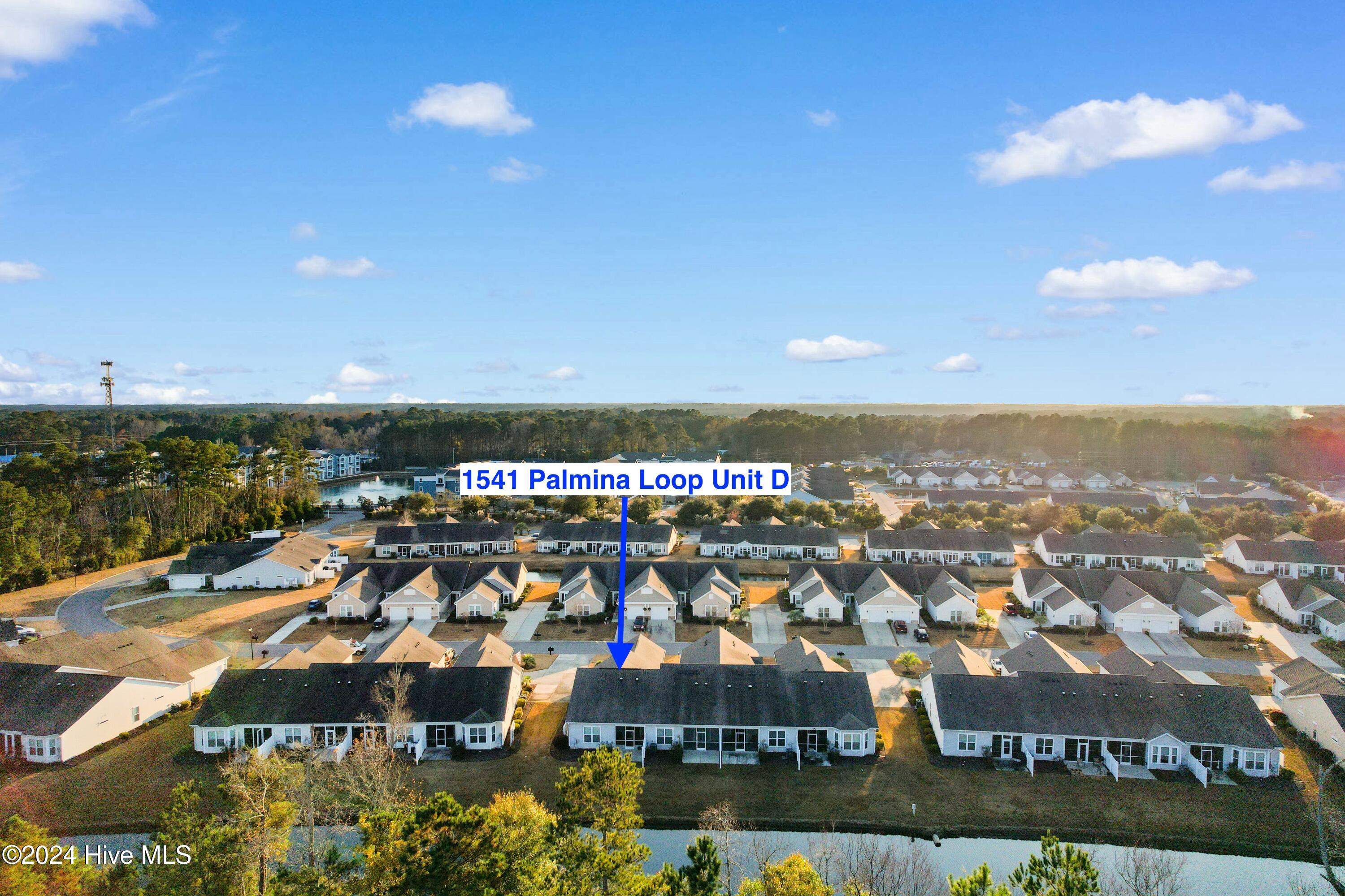 1541 Palmina Loop, Unit D Myrtle Beach, SC 29588 - Photo 46 of 48 tempImageXjI7e4