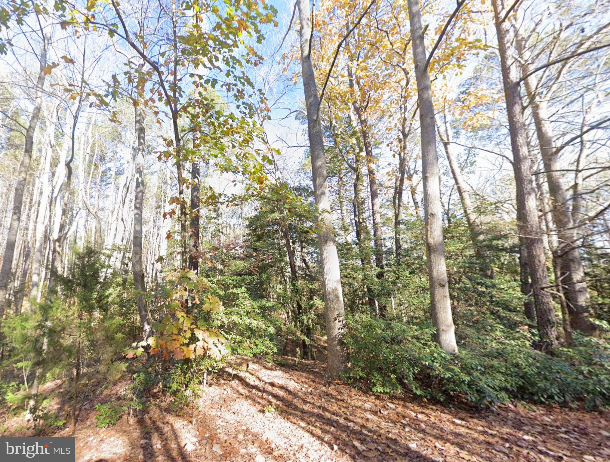 0 Lake Road Lottsburg, VA 22511 - Photo 1 of 14