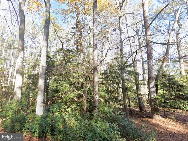 $75,950 | 0 Lake Road, Lottsburg, VA 22511