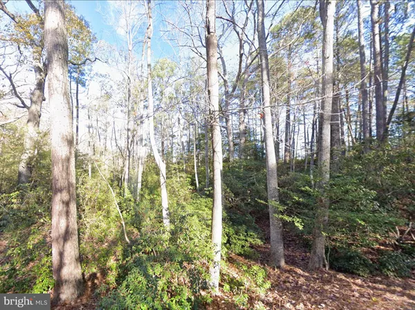 $75,950 | 0 Lake Road, Lottsburg, VA 22511