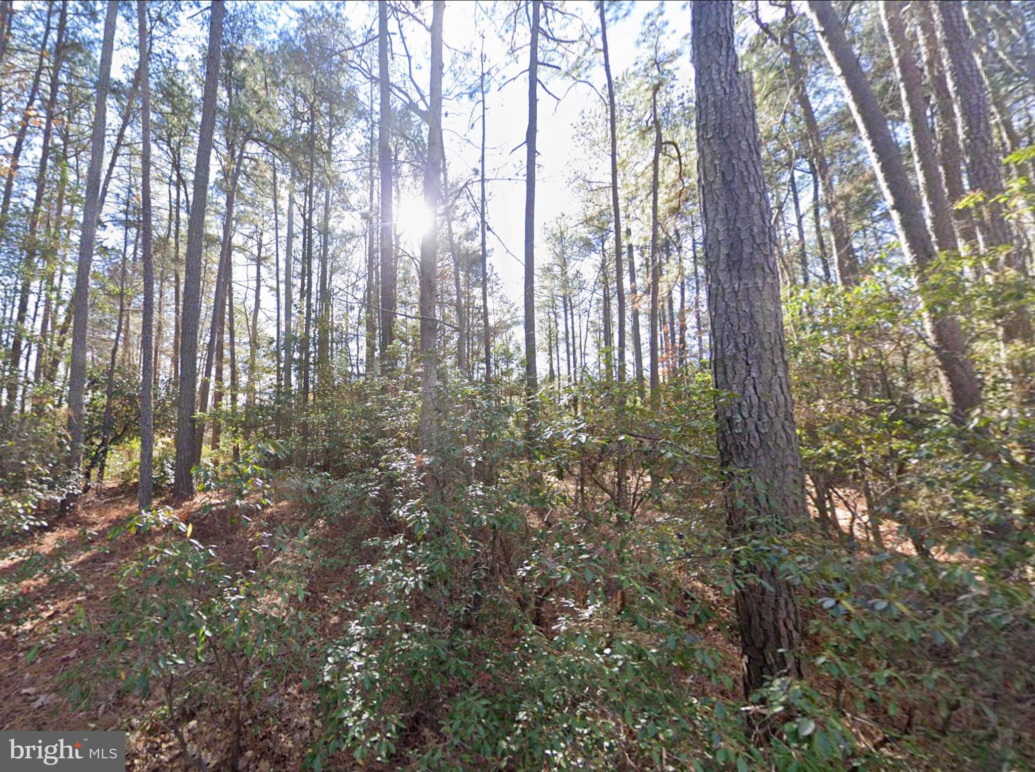 0 Lake Road Lottsburg, VA 22511 - Photo 4 of 14