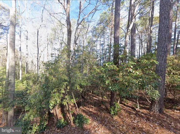 $75,950 | 0 Lake Road, Lottsburg, VA 22511