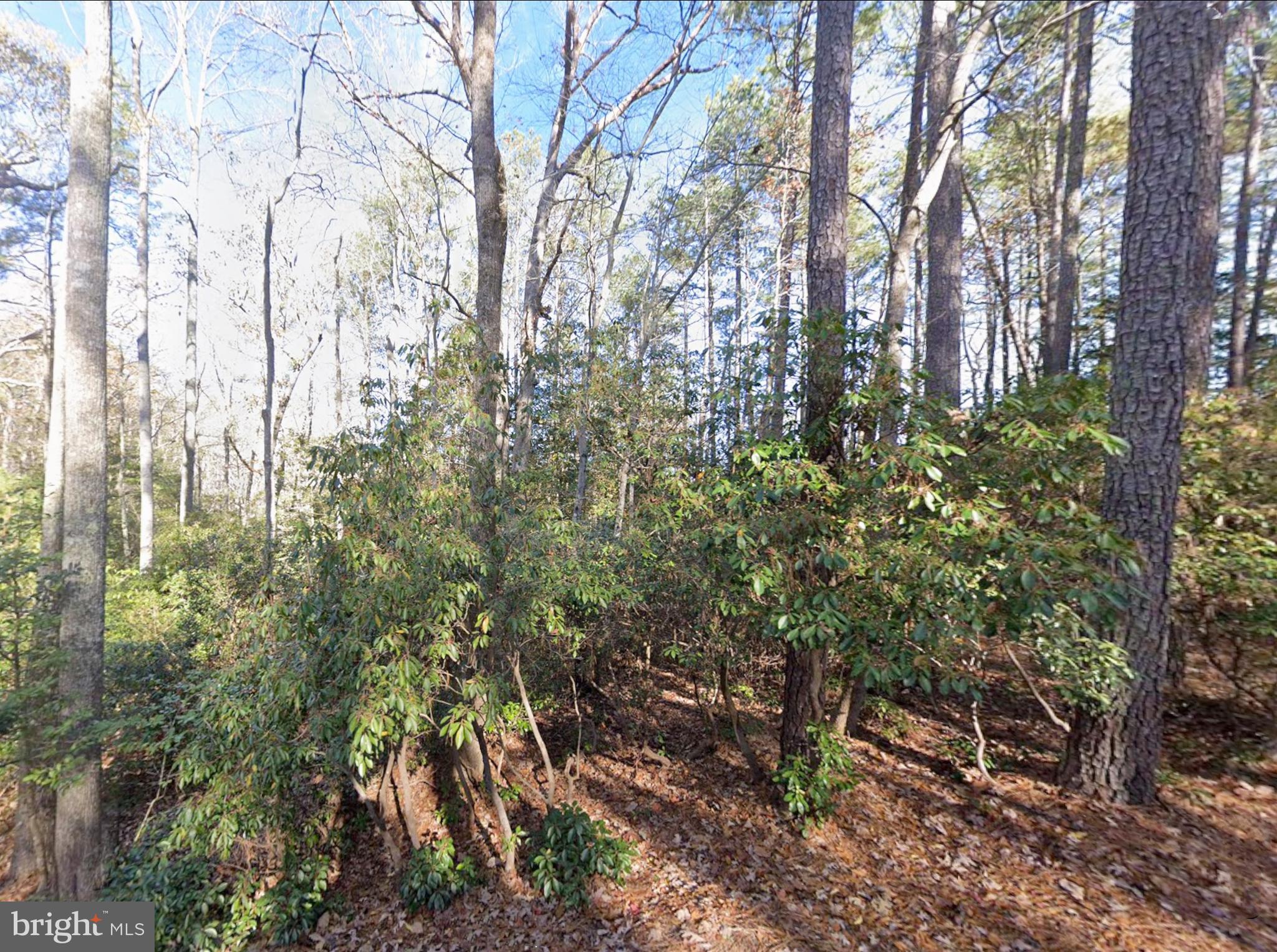 0 Lake Road Lottsburg, VA 22511 - Photo 5 of 14