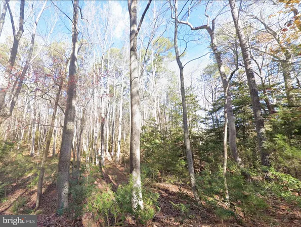 $75,950 | 0 Lake Road, Lottsburg, VA 22511