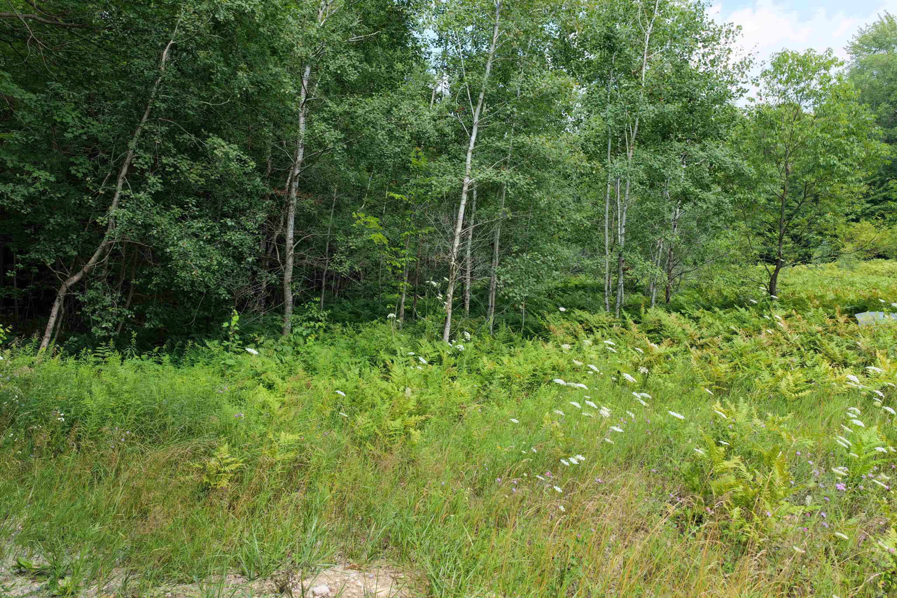 0 North 1st Road Copemish, MI 49625 - Photo 23 of 25 1944179-50baede8-8af7-41ad-a042-1e121de21e92.JPG