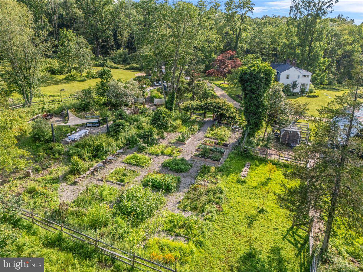 920 Cherry Valley Road Princeton, NJ 08540 - Photo 52 of 58 a view of a garden with plants