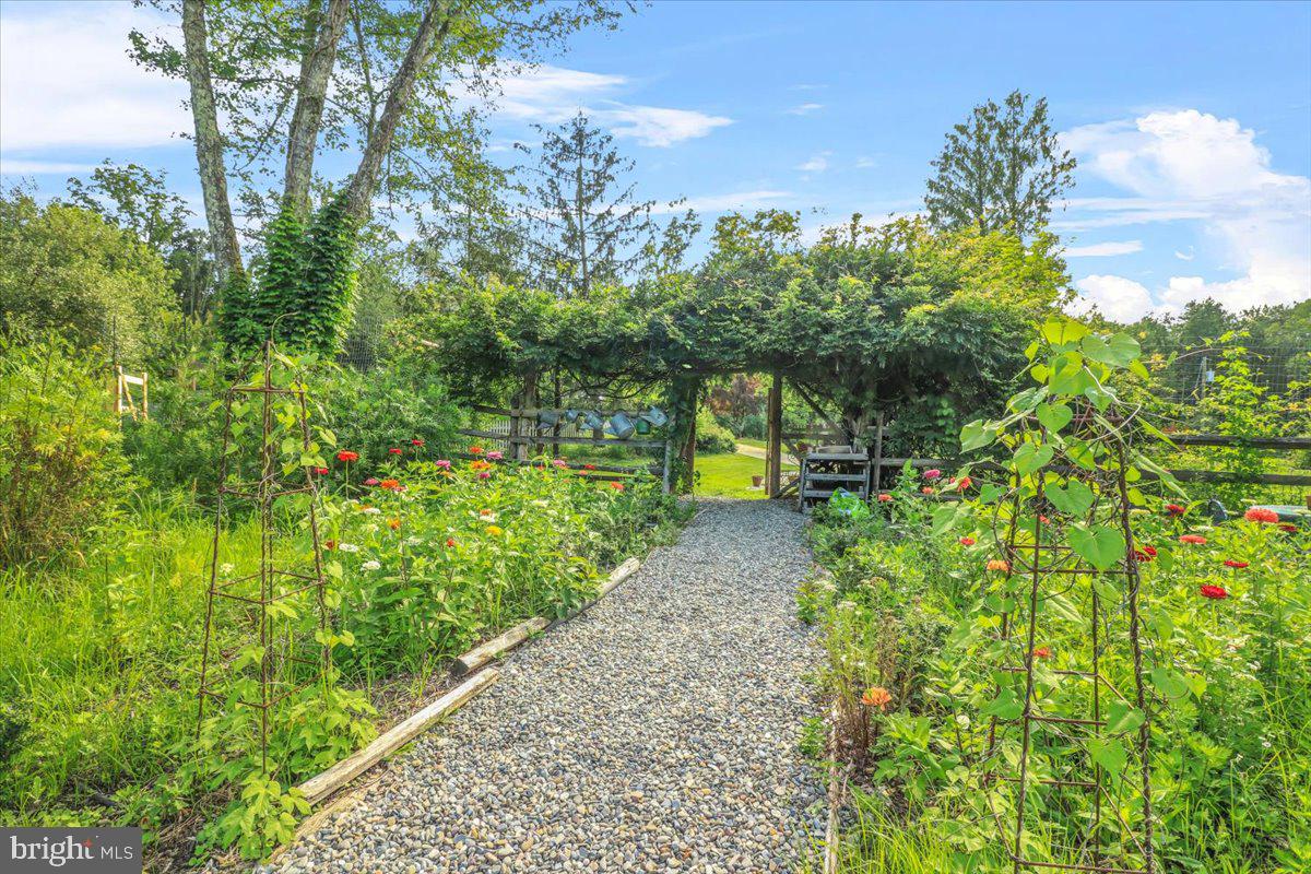 920 Cherry Valley Road Princeton, NJ 08540 - Photo 53 of 58 a view of a garden with large trees