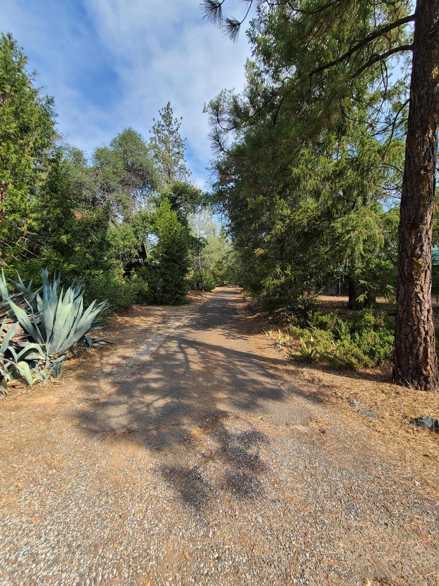 17516 Walker Mine Road Redding, CA 96003 - Photo 13 of 18 13
