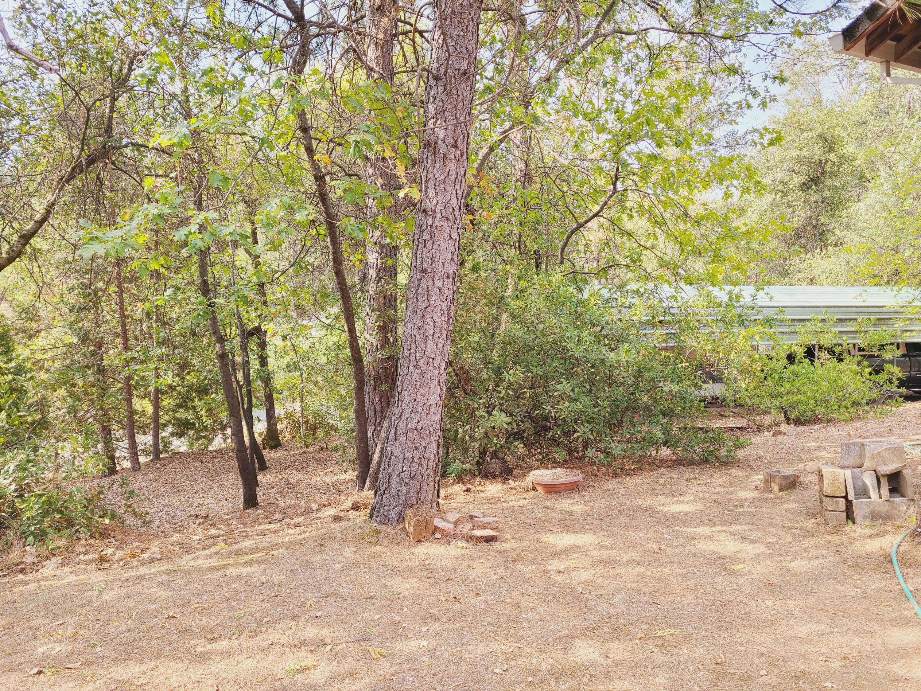 17516 Walker Mine Road Redding, CA 96003 - Photo 15 of 18 15