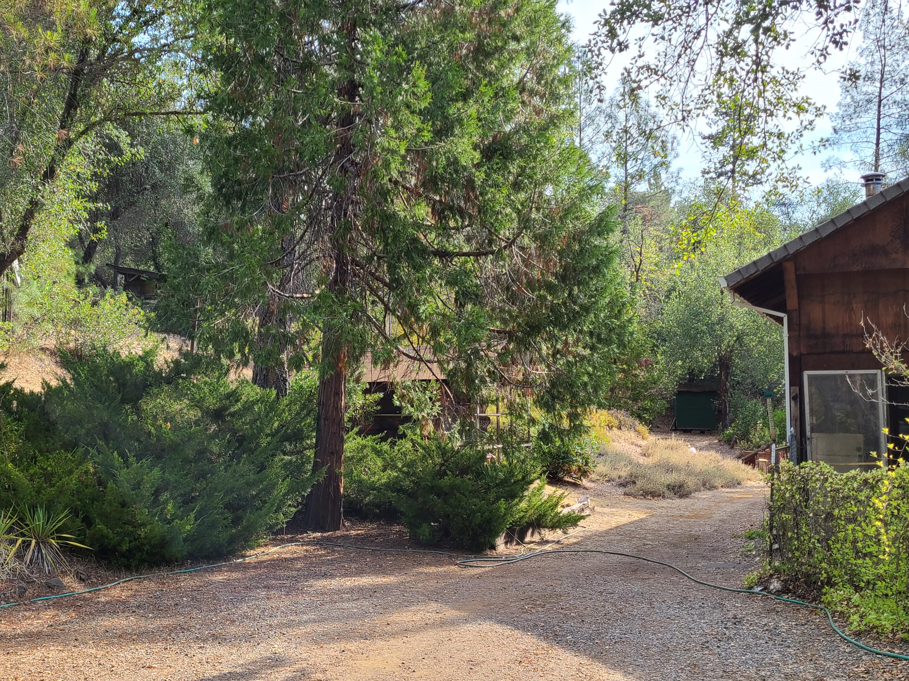 17516 Walker Mine Road Redding, CA 96003 - Photo 10 of 18 10