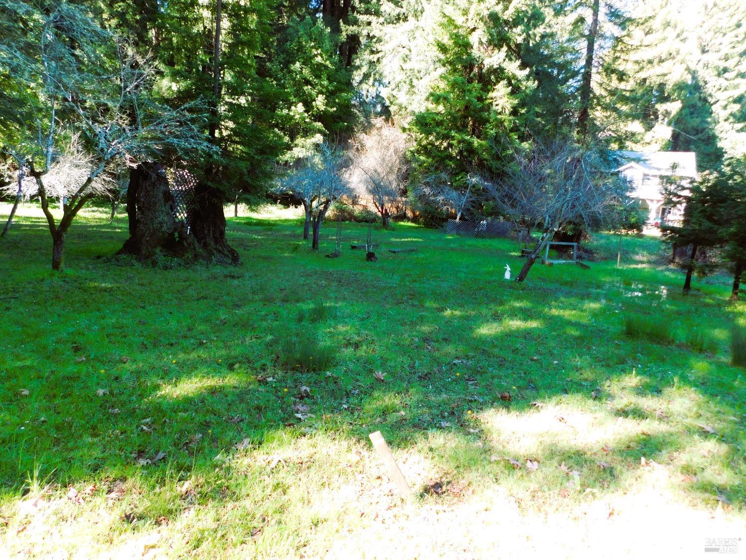 15900 Drake Road Guerneville, CA 95446 - Photo 2 of 9 a view of a park with a tree