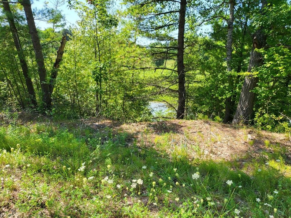 498 West Ridge Road Gladwin, MI 48624 - Photo 10 of 13