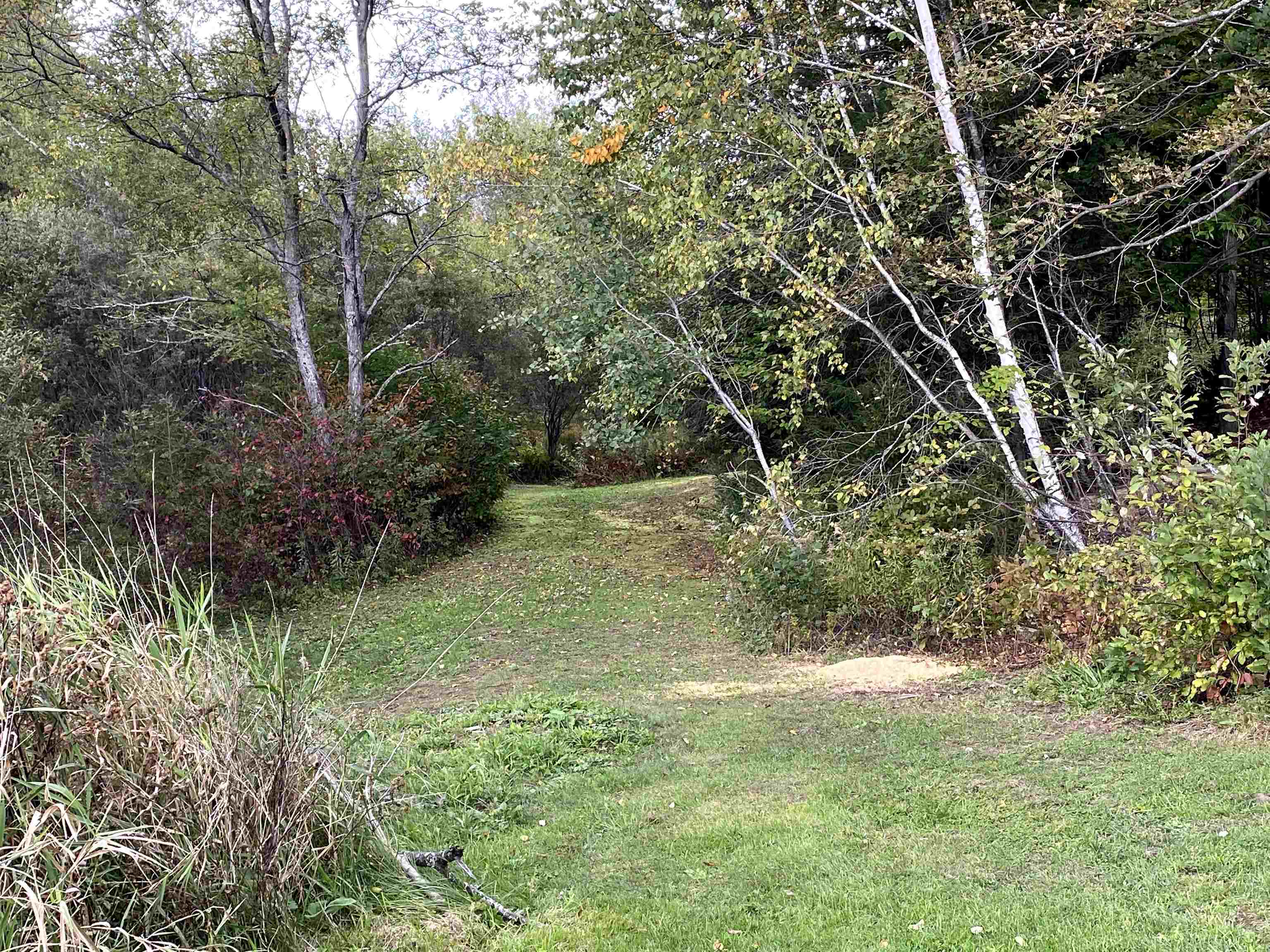 1222 Collins Hill Road Johnson, VT 05656 - Photo 22 of 27