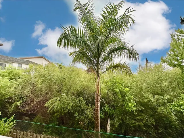 a view of a palm trees