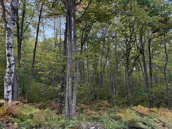 $60,000 | 0 Old Highway 2, Iron River, WI 54847