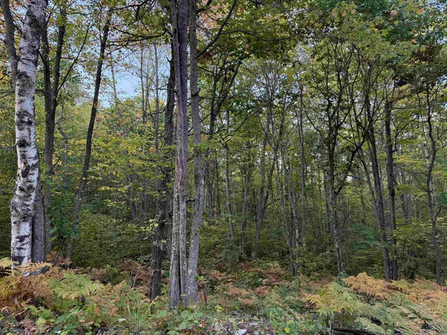 $60,000 | 0 Old Highway 2, Iron River, WI 54847