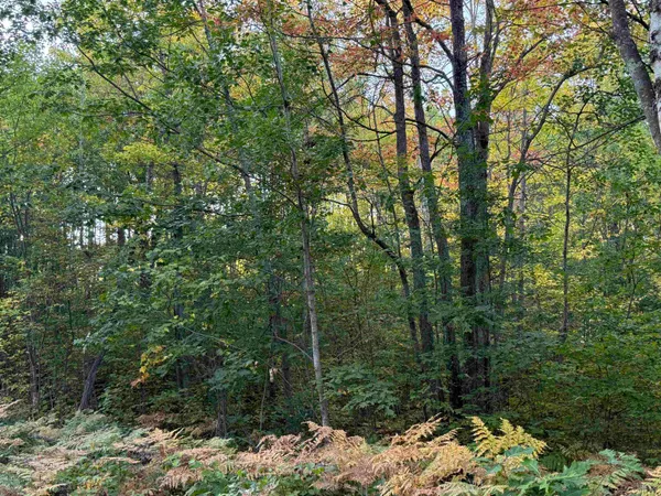 $60,000 | 0 Old Highway 2, Iron River, WI 54847