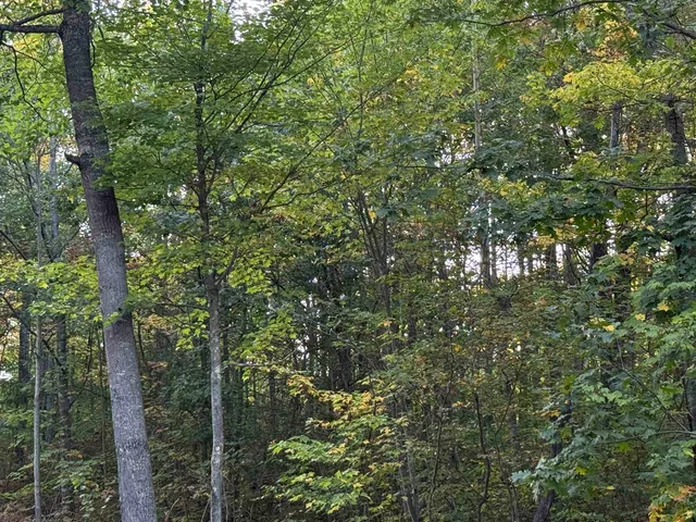 $60,000 | 0 Old Highway 2, Iron River, WI 54847