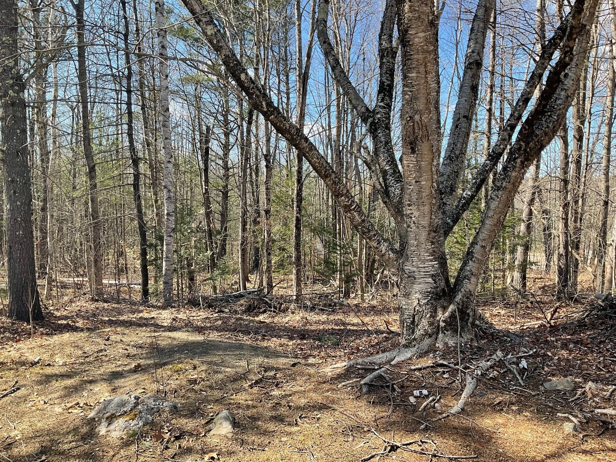 106 Hunts Meadow Road Pittston, ME 04345 - Photo 23 of 25 v
