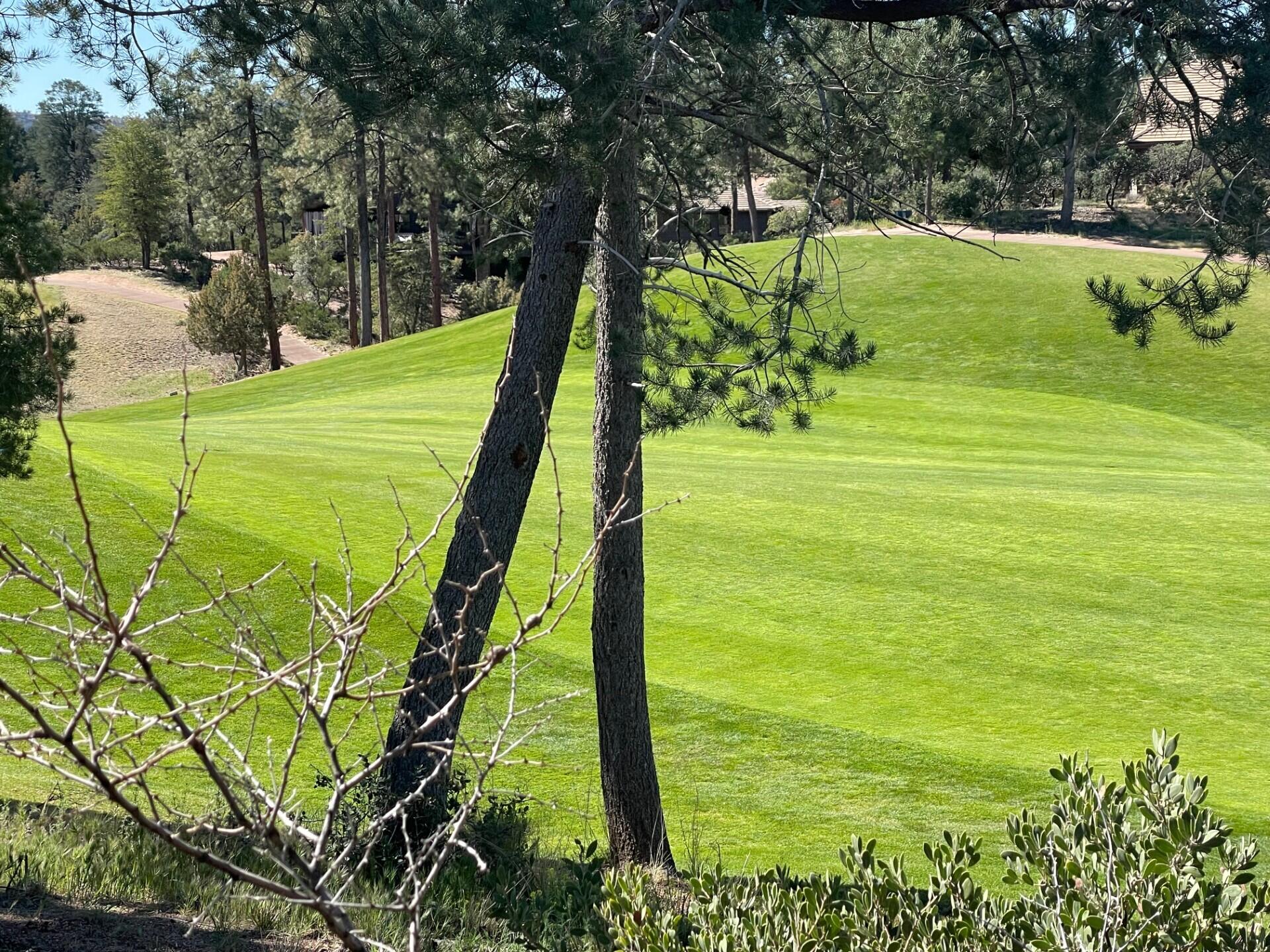 210 South Rim Club Drive Payson, AZ 85541 - Photo 5 of 19 a view of an outdoor space