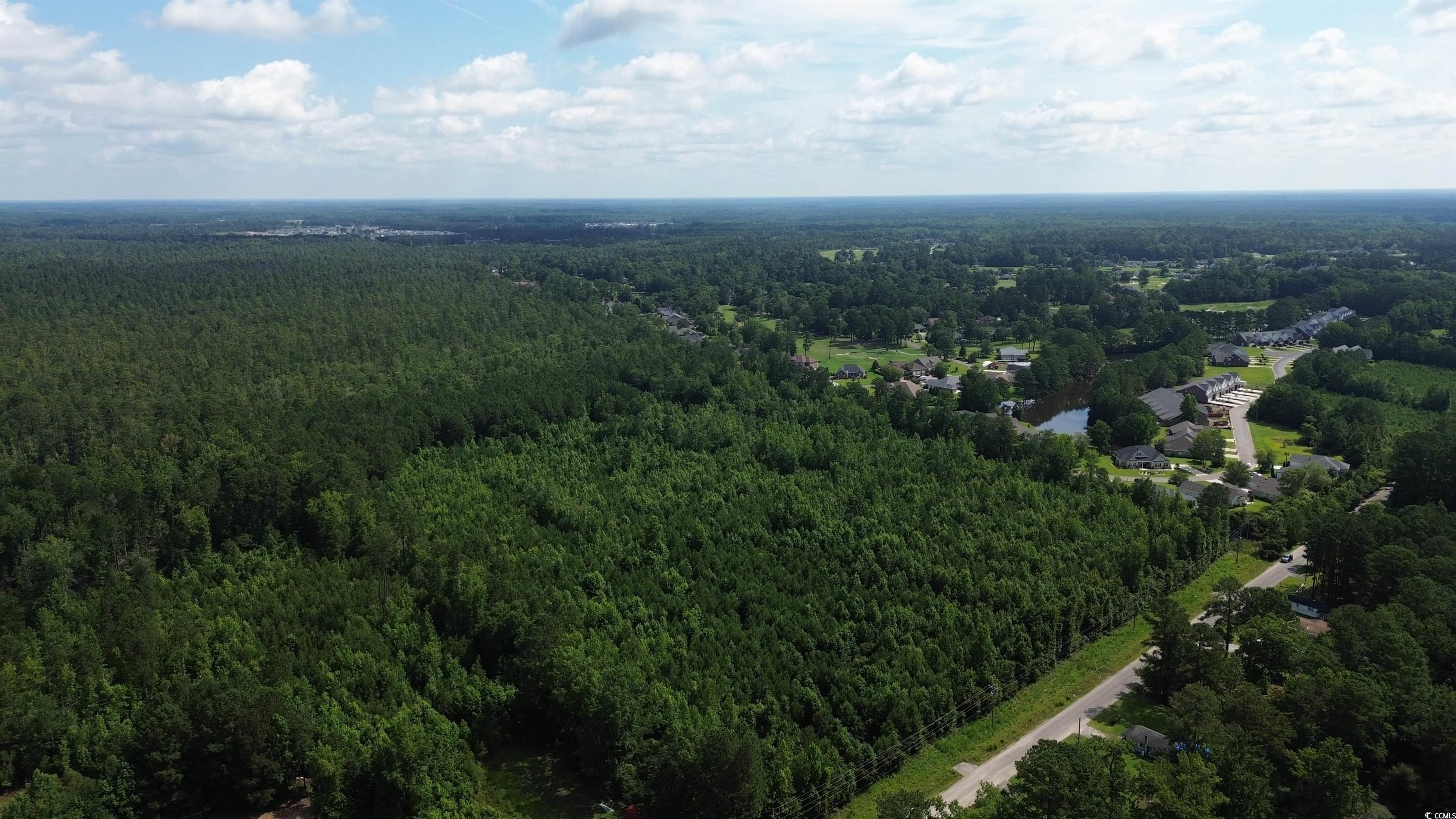 Tbd Elbow Road Longs, SC 29568 - Photo 6 of 14 Bird's eye view of a forest