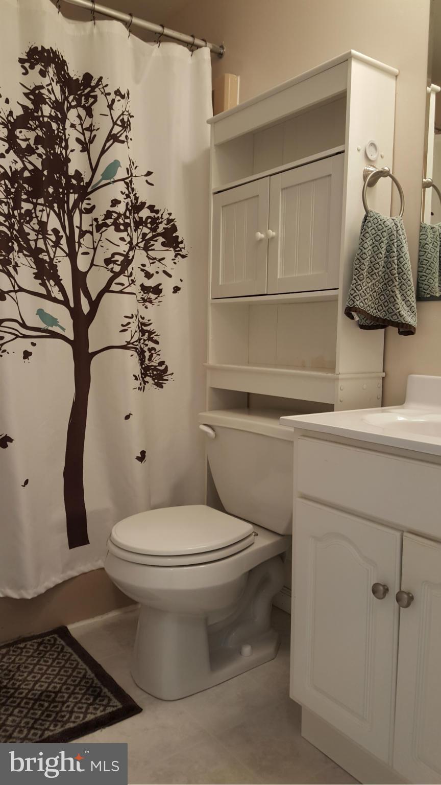 107 Bayview Road Chesapeake City, MD 21915 - Photo 8 of 24 Updated hall bath