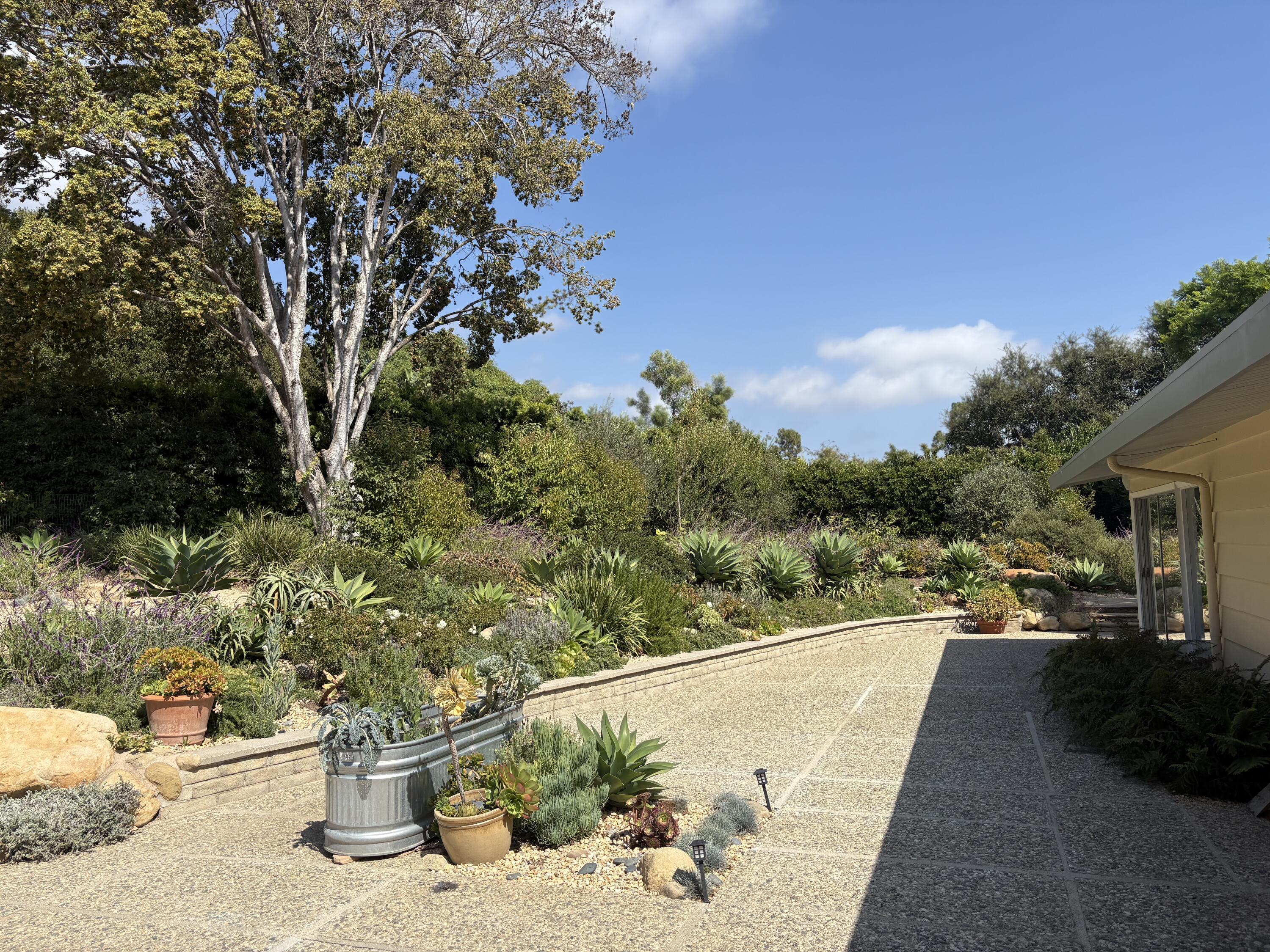 1747 Glen Oaks Drive Montecito, CA 93108 - Photo 23 of 24 Back Yard