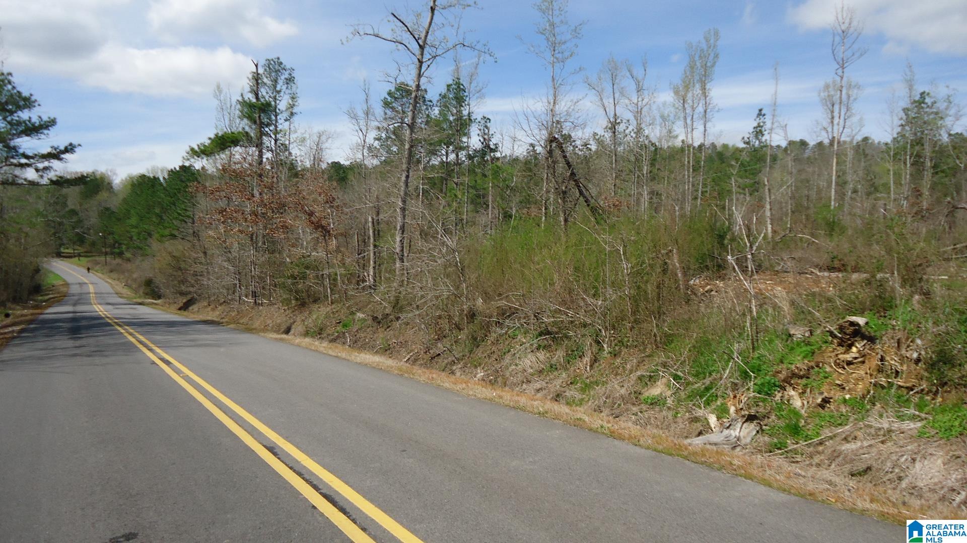 551 Grayton Road South Ohatchee, AL 36271 - Photo 12 of 12