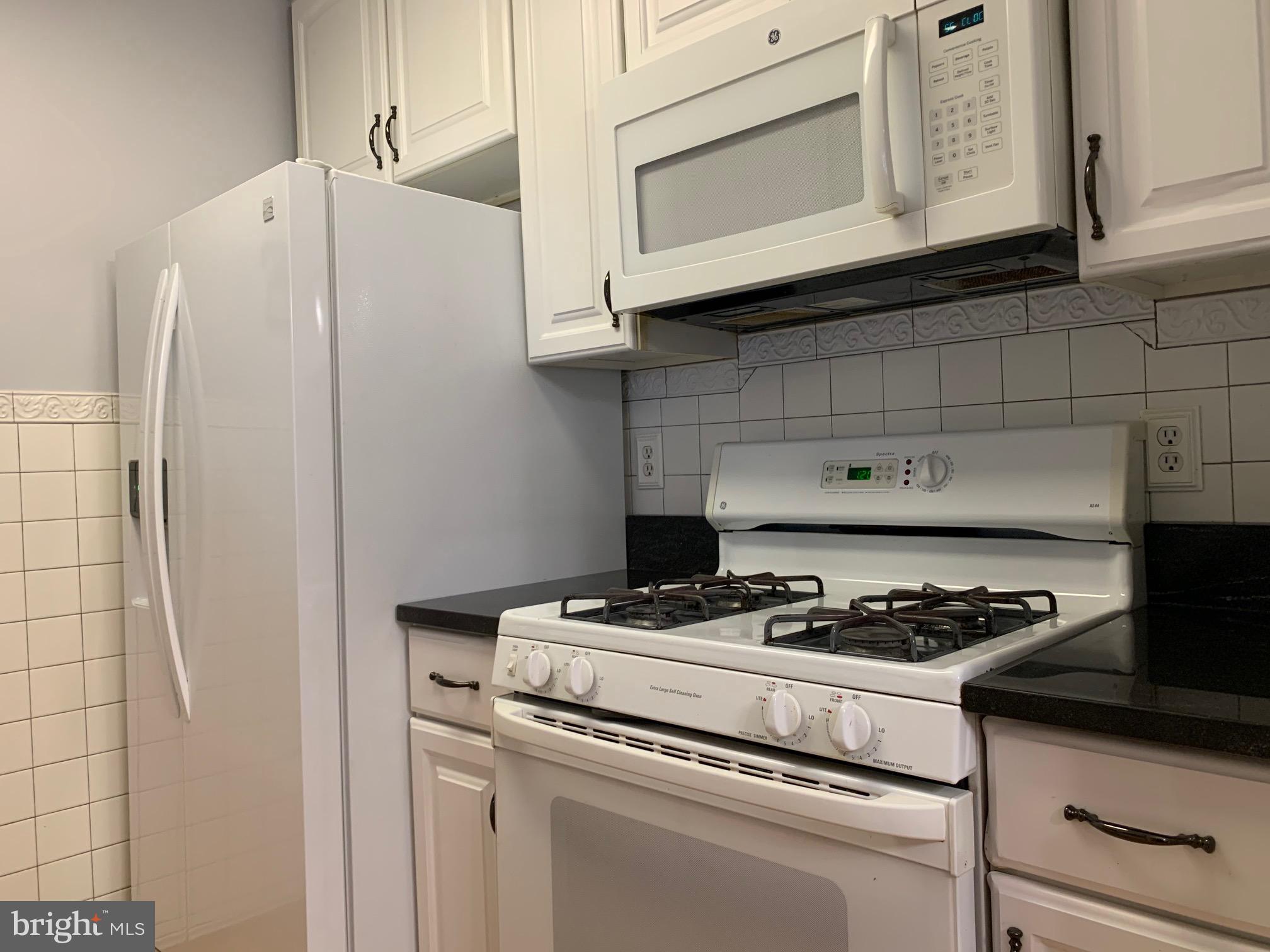 20960 Timber Ridge Terrace, Unit 101 Ashburn, VA 20147 - Photo 14 of 22 Kitchen