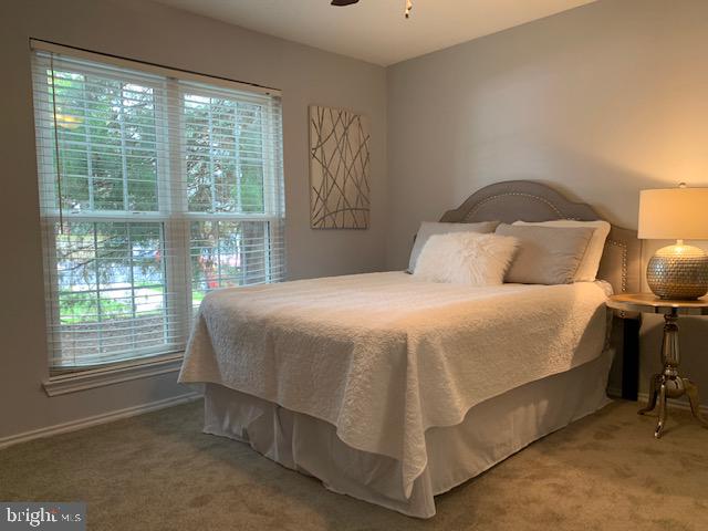 20960 Timber Ridge Terrace, Unit 101 Ashburn, VA 20147 - Photo 17 of 22 Owners bedroom
