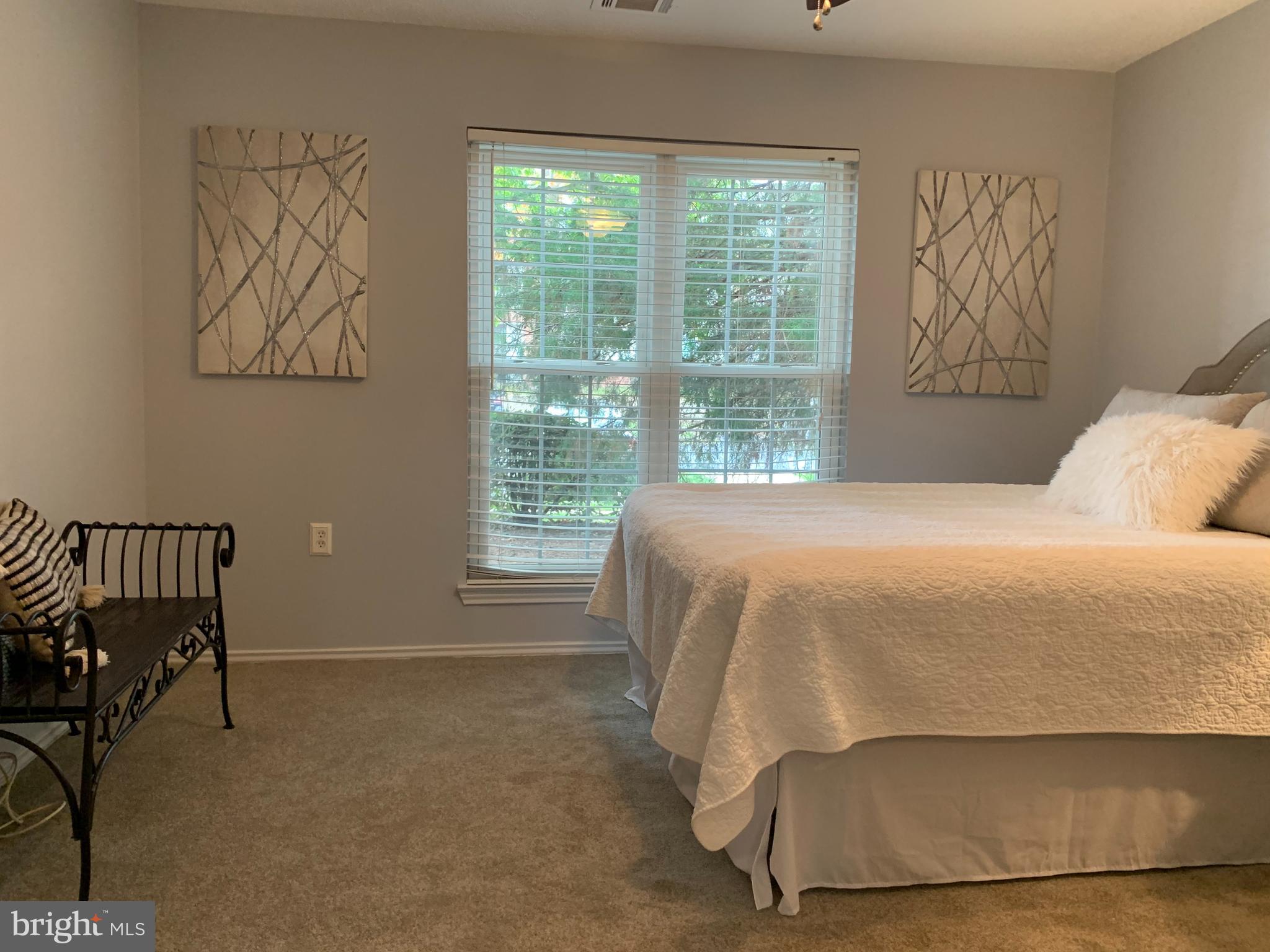 20960 Timber Ridge Terrace, Unit 101 Ashburn, VA 20147 - Photo 18 of 22 Owners bedroom