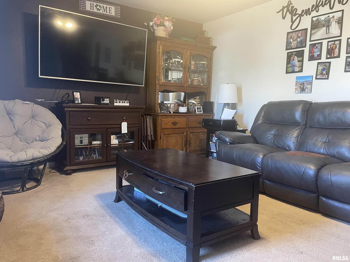 217 Apple Lane Anna, IL 62906 - Photo 13 of 36