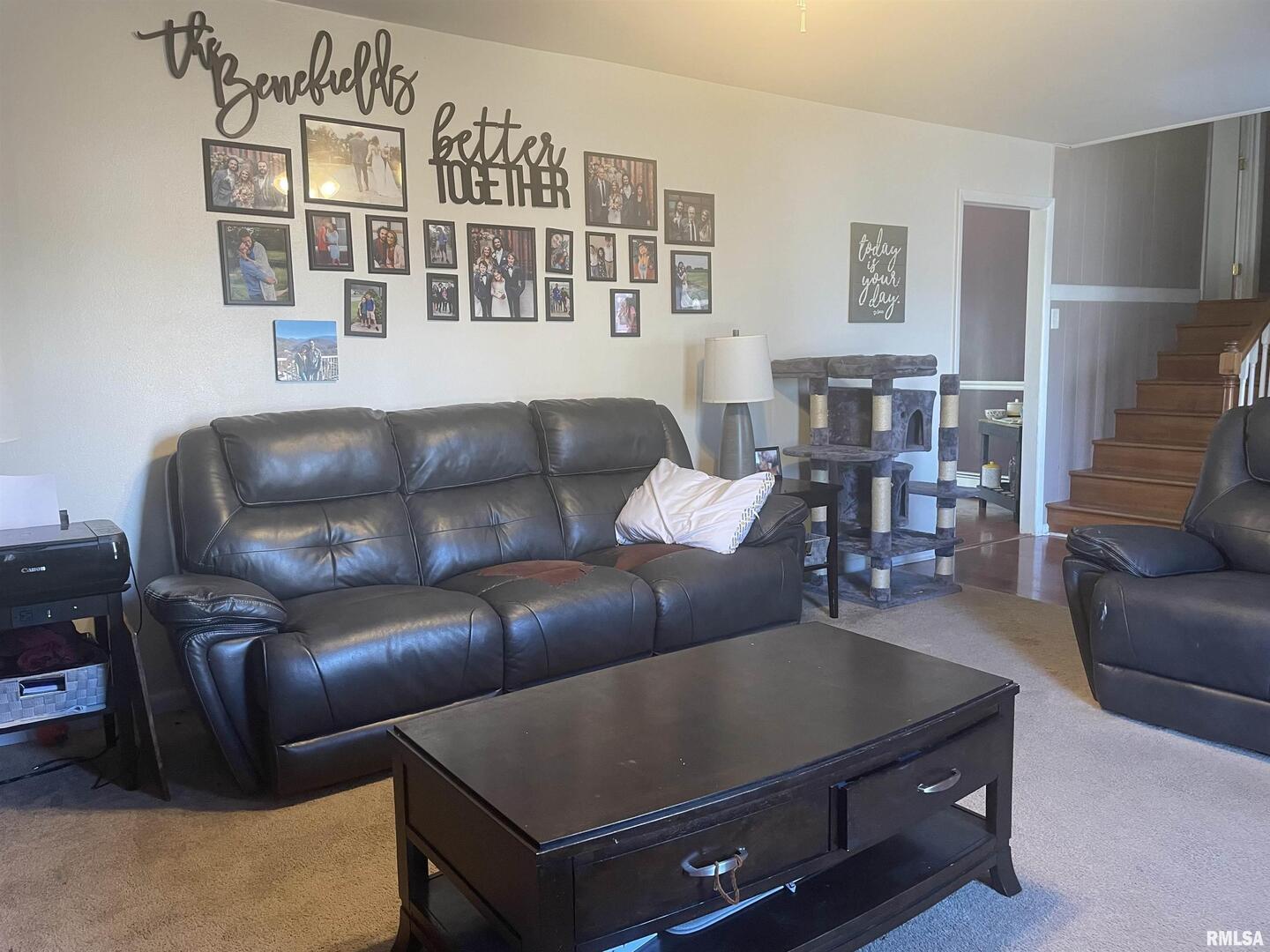 217 Apple Lane Anna, IL 62906 - Photo 15 of 39 a living room with furniture