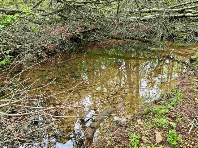 $163,500 | 4 North Cuzco Road South, French Lick, IN 47432