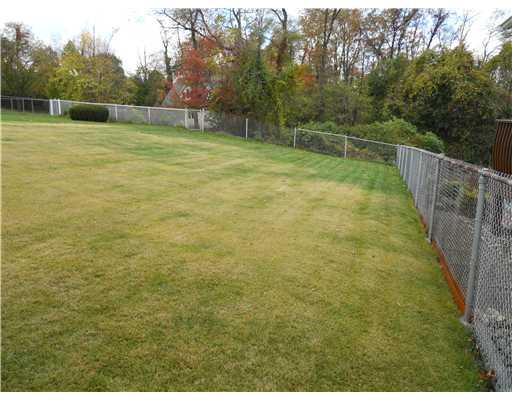 4322 Homestead Duquesne Road Munhall, PA 15120 - Photo 16 of 16 Yard/Garden.