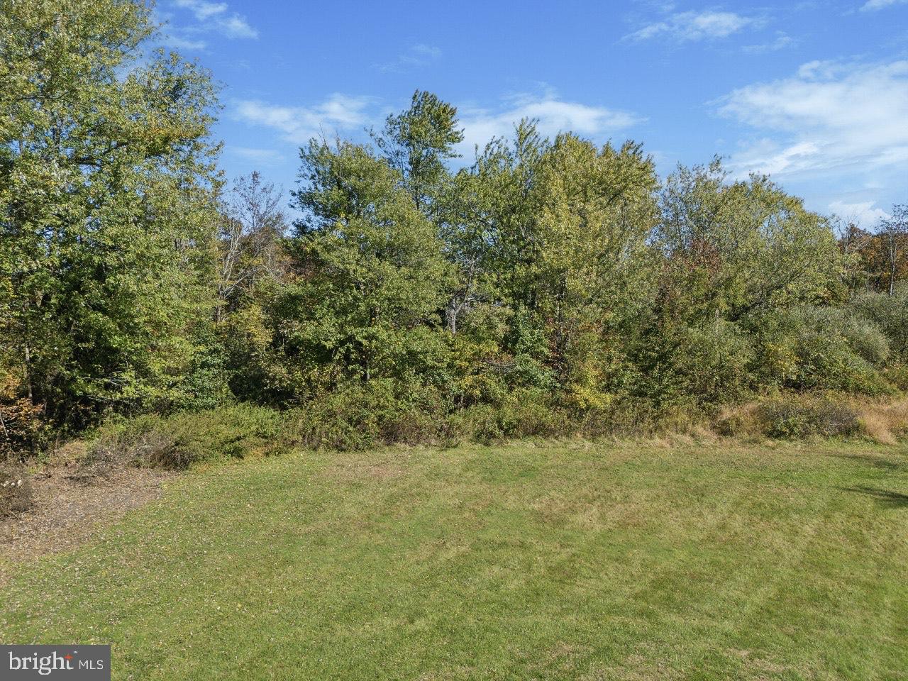 Callowhill Road Perkasie, PA 18944 - Photo 3 of 5 a view of a yard with a tree