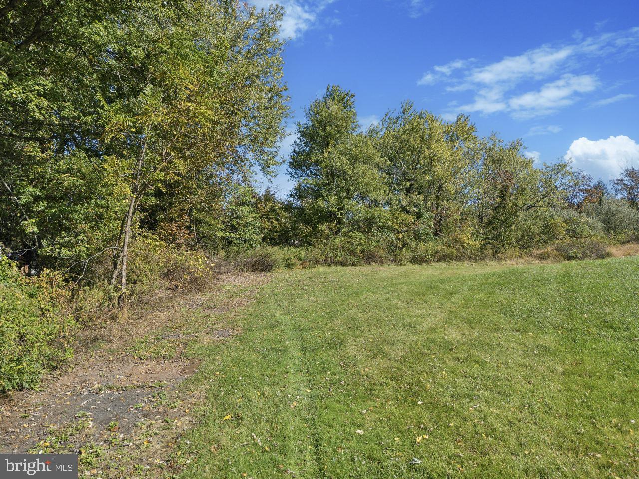 Callowhill Road Perkasie, PA 18944 - Photo 4 of 5 a view of a yard with an trees