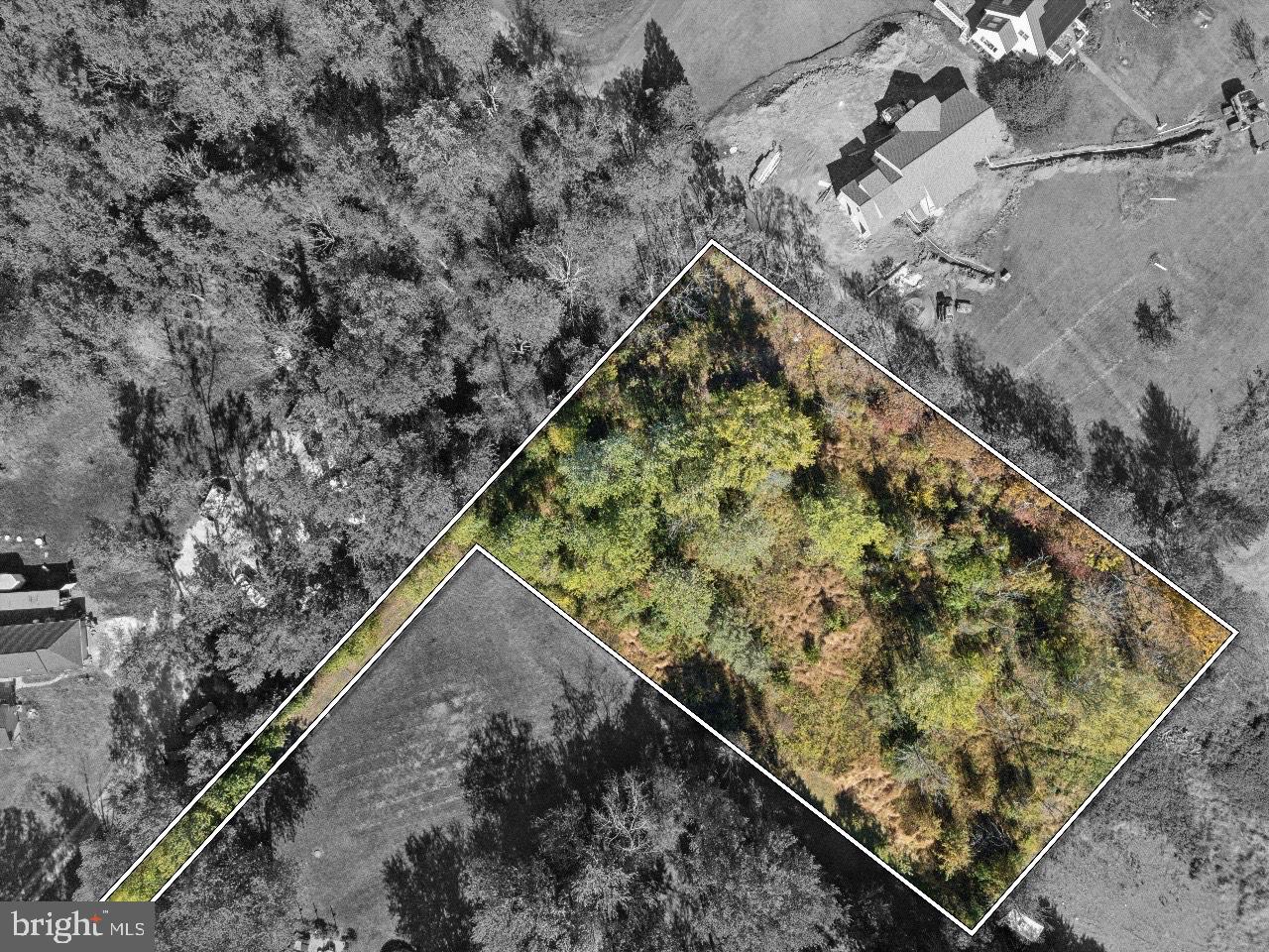 Callowhill Road Perkasie, PA 18944 - Photo 5 of 5 a view of a backyard with plants