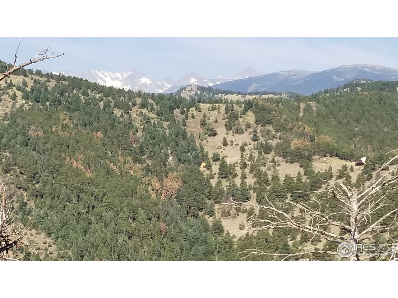 a black and white photo of a city