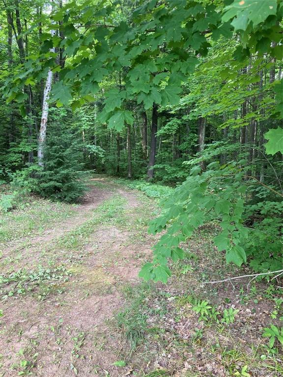 2249 County Road 550 Road Big Bay, MI 49808 - Photo 49 of 53