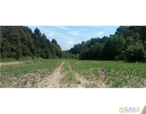155 Dey Road Cranbury, NJ 08512 - Photo 3 of 6 a view of a garden with a mountain