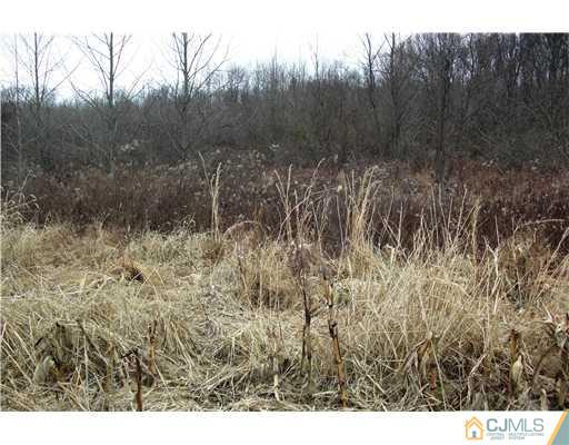 155 Dey Road Cranbury, NJ 08512 - Photo 5 of 6 a view of a yard