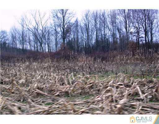155 Dey Road Cranbury, NJ 08512 - Photo 6 of 6 a view of lot of trees