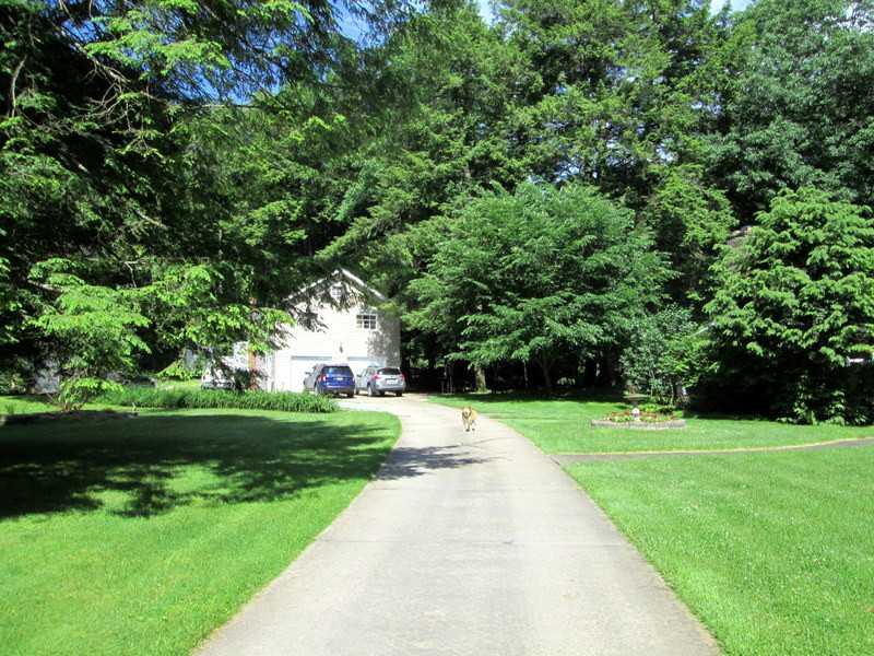 138 Smith Road Emlenton, PA 16373 - Photo 17 of 25 Land/Lot.