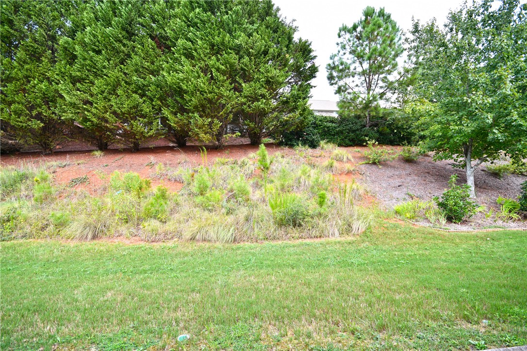 47 Hillsborough Drive Anderson, SC 29621 - Photo 22 of 23 This lush landscape offers abundant greenery and a serene natural setting.