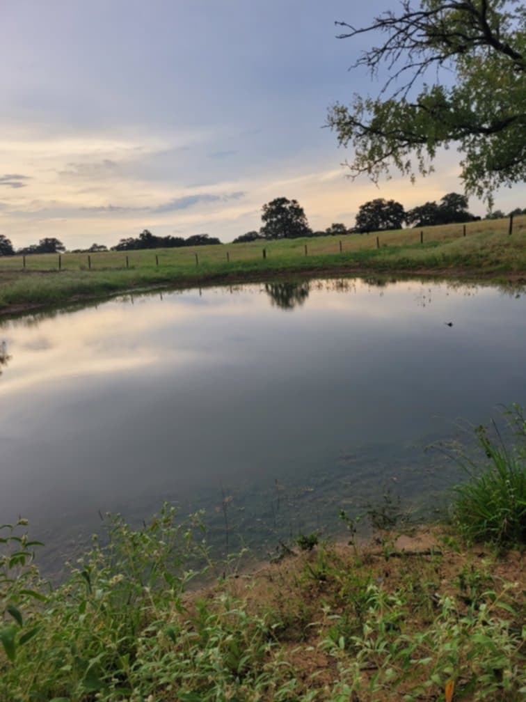 1065 Private Road 7041 Elgin, TX 78621 - Photo 26 of 38 Large pond stocked with catfish perfect for fishing or swimming. Check out that great view!
