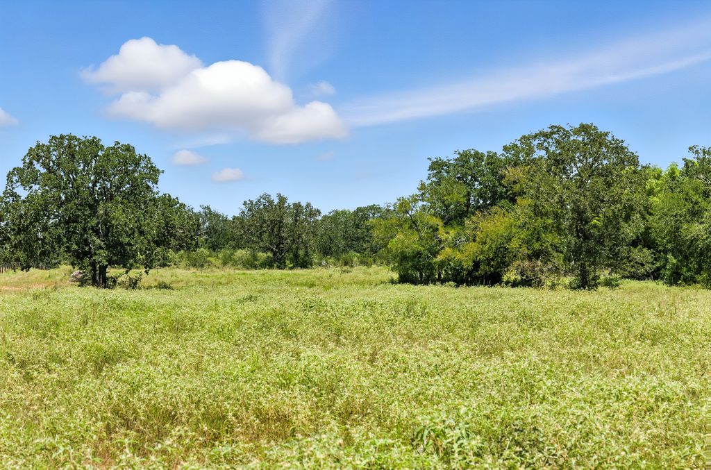 1065 Private Road 7041 Elgin, TX 78621 - Photo 28 of 38 Pasture perfect for livestock grazing, hunting, or riding ATV's through